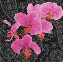 KV 025 - ubrousek 33x33 - orchidej na ernm