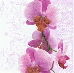 KV 048 - ubrousek 33x33 - orchidej na sv.fialovm