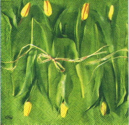 KV 065 - ubrousek 25x25 - tulipány na zeleném