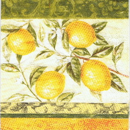 OZ 048 - ubrousek 33x33 - citronky