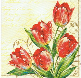 KV 166 - ubrousek 33x33 - èervené tulipány