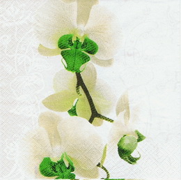 KV 207 - ubrousek na decoupage  33x33 - orchidej blo-zelen