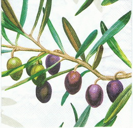OL 042 Ambiente - ubrousek 33x33 - olivy velké