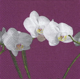 KV 384 - ubrousek 33x33 - orchidej na fial.