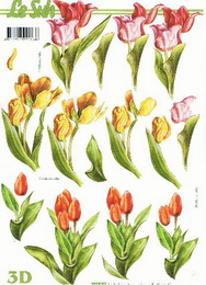 3D papr - barevn tulipny - zvtit obrzek