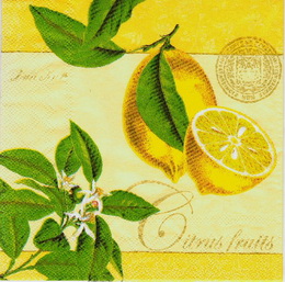 OZ 101 AMBIENTE - ubrousek 33x33 -citrony na lutm