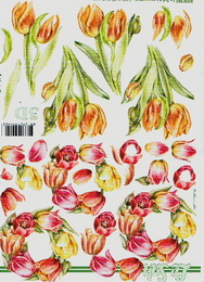 3D papr - tulipn vnec . 394 - zvtit obrzek