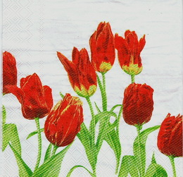 KV 047 Ihr- ubrousek 33x33 - tulipny