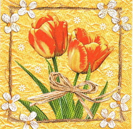 KV 074 - ubrousek 33x33 - tulipn na oran - zvtit obrzek